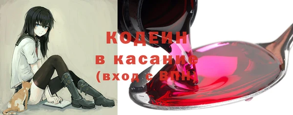 шишки Гусь-Хрустальный