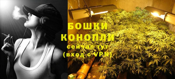 экстази Гусев