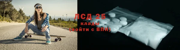сатива Гусиноозёрск