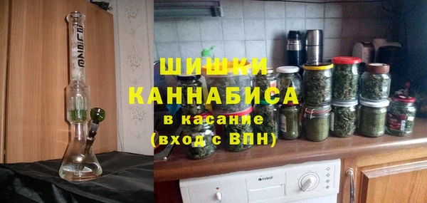 сатива Гусиноозёрск
