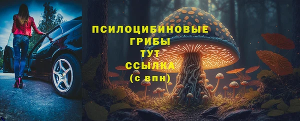 мдпв Кохма