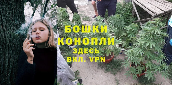 сатива Гусиноозёрск
