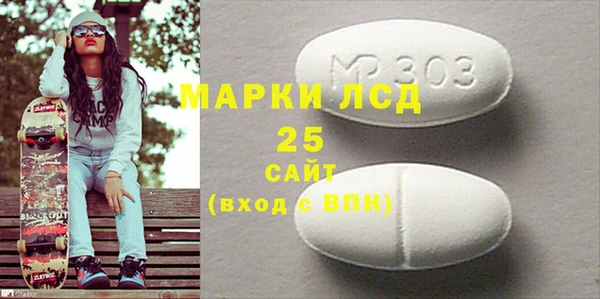 шишки Гусь-Хрустальный