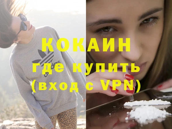 шишки Гусь-Хрустальный