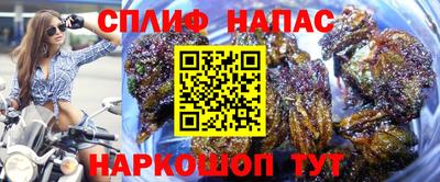 прущие грибы Кунгур