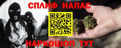 прущие грибы Кунгур