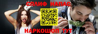 прущие грибы Кунгур