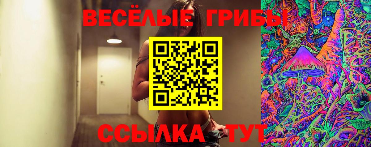 Псилоцибиновые грибы GOLDEN TEACHER Отрадный